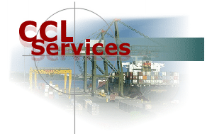 services.GIF (28110 bytes)